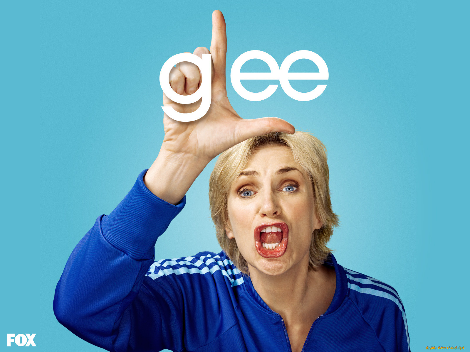 , , glee, 